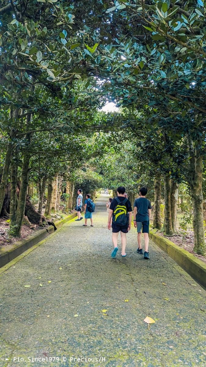 南國水陸消暑山林篇┃墾丁國家森林公園